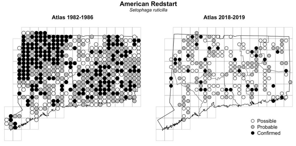 Maps of Connecticut showing a comparison of breeding data for American Redstart from atlas surveys in 1982-1986 and 2018-2019