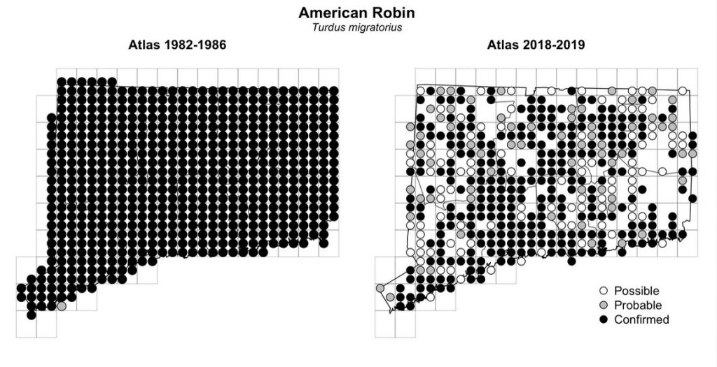 Maps of Connecticut showing a comparison of breeding data for American Robin from atlas surveys in 1982-1986 and 2018-2019