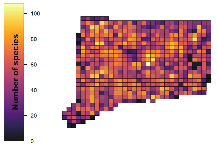 A map of Connecticut displaying the number of species detected by atlas block as of June 2020