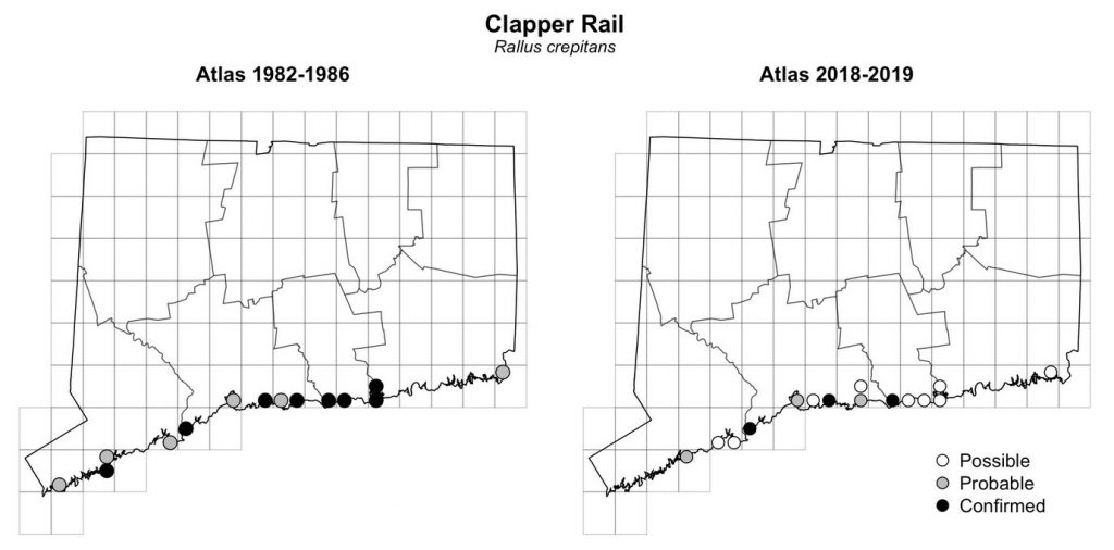 Maps of Connecticut showing a comparison of breeding data for Clapper Rail from atlas surveys in 1982-1986 and 2018-2019