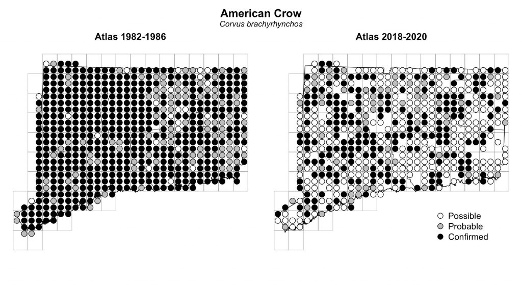 Maps of Connecticut showing a comparison of breeding data for American Crow from atlas surveys in 1982-1986 and 2018-2020