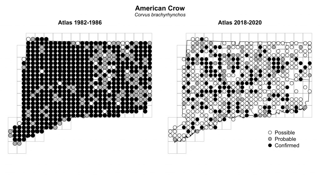 Maps of Connecticut showing a comparison of breeding data for American Crow from atlas surveys in 1982-1986 and 2018-2020