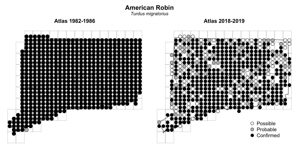 Maps of Connecticut showing a comparison of breeding data for American Robin from atlas surveys in 1982-1986 and 2018-2019