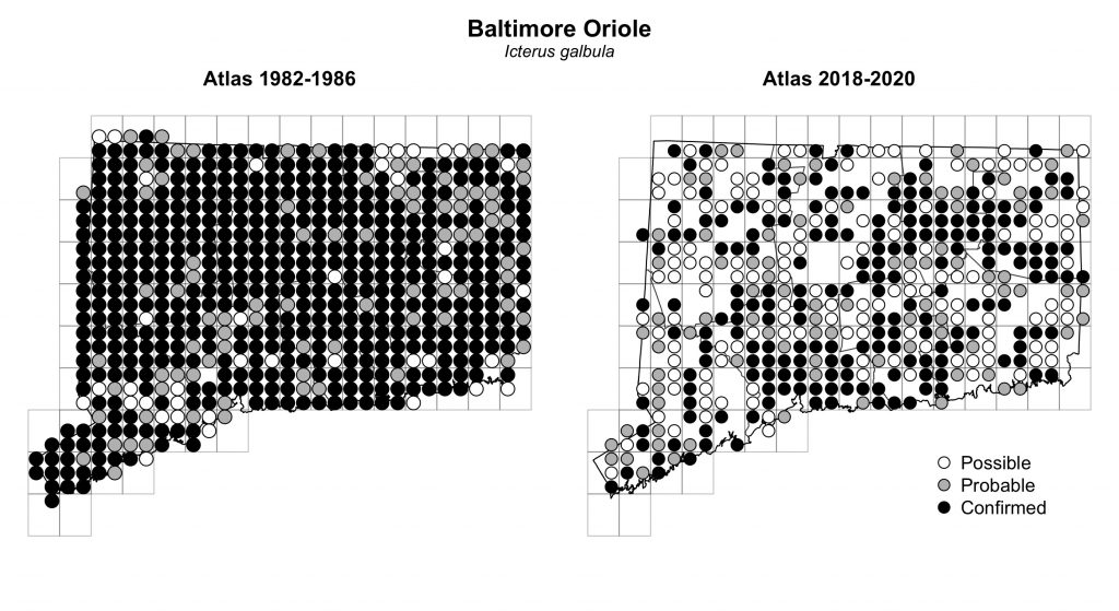 Maps of Connecticut showing a comparison of breeding data for Baltimore Oriole from atlas surveys in 1982-1986 and 2018-2020