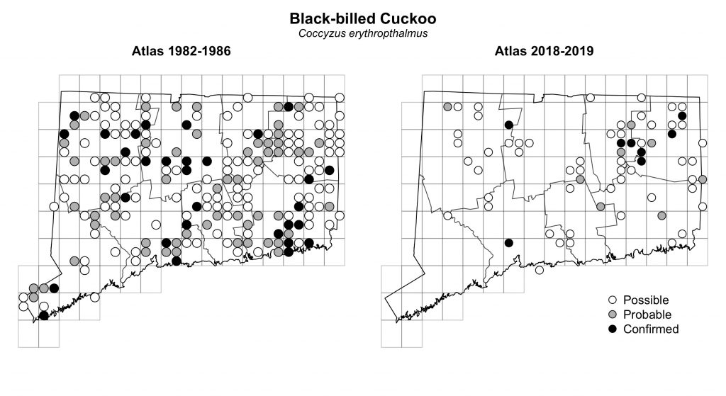 Maps of Connecticut showing a comparison of breeding data for Black-billed Cuckoo from atlas surveys in 1982-1986 and 2018-2019