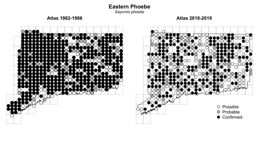 Maps of Connecticut showing a comparison of breeding data for Eastern Phoebe from atlas surveys in 1982-1986 and 2018-2019