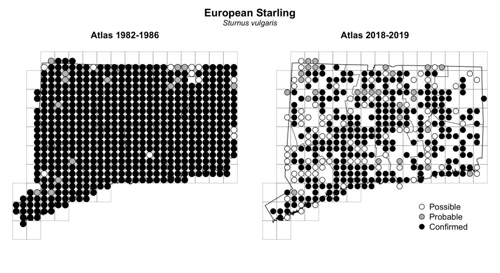 Maps of Connecticut showing a comparison of breeding data for European Starling from atlas surveys in 1982-1986 and 2018-2019