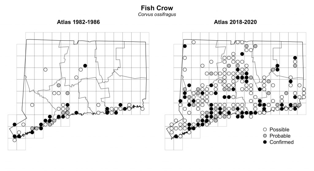 Maps of Connecticut showing a comparison of breeding data for Fish Crow from atlas surveys in 1982-1986 and 2018-2020