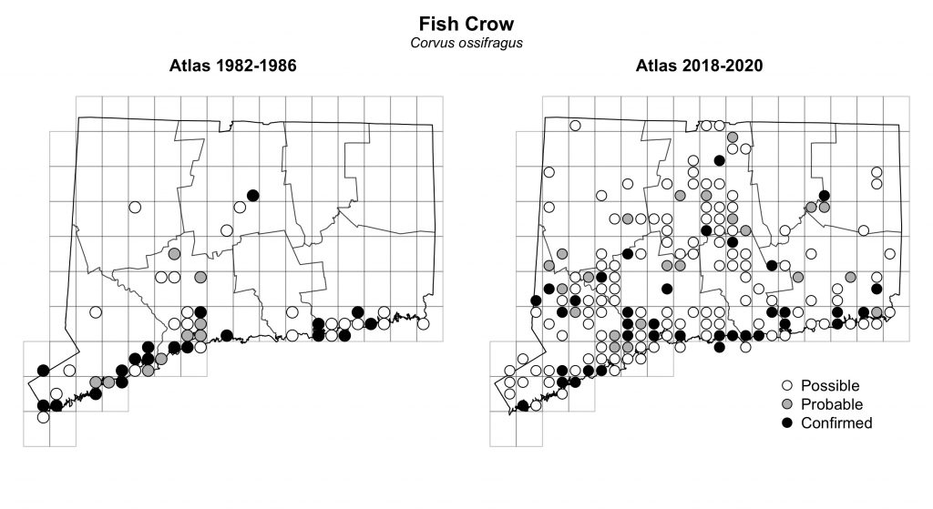 Maps of Connecticut showing a comparison of breeding data for Fish Crow from atlas surveys in 1982-1986 and 2018-2020