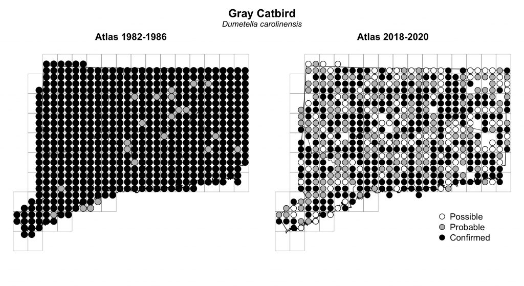 Maps of Connecticut showing a comparison of breeding data for Gray Catbird from atlas surveys in 1982-1986 and 2018-2020