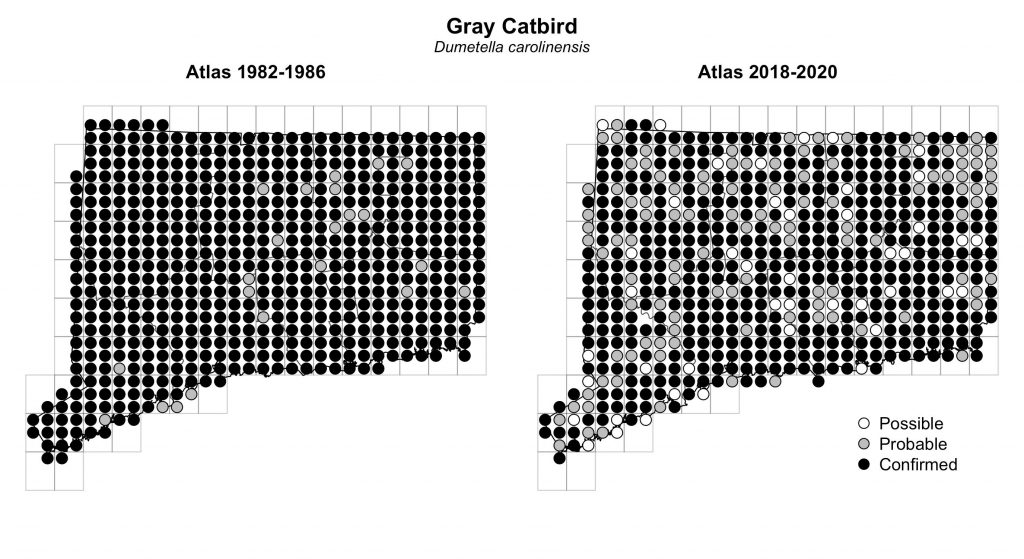 Maps of Connecticut showing a comparison of breeding data for Gray Catbird from atlas surveys in 1982-1986 and 2018-2020