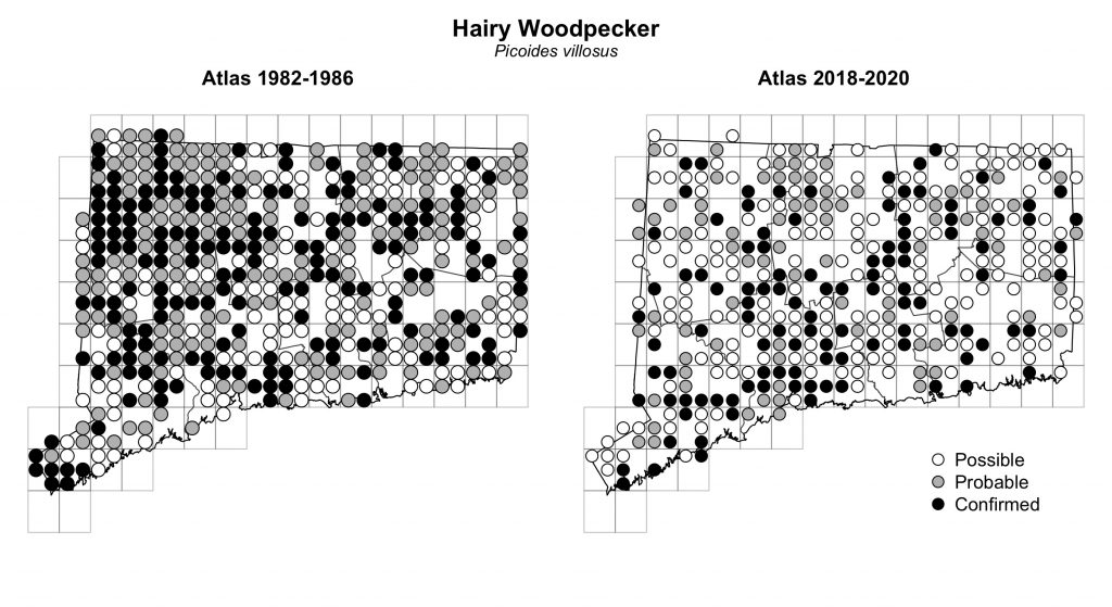 Maps of Connecticut showing a comparison of breeding data for Hairy Woodpecker from atlas surveys in 1982-1986 and 2018-2020