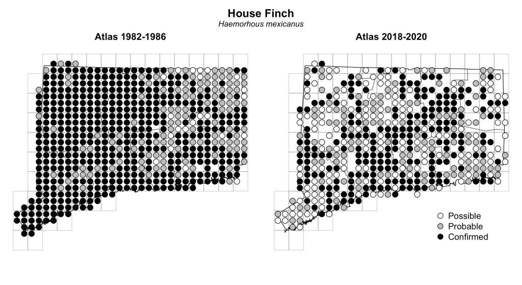 Maps of Connecticut showing a comparison of breeding data for House Finch from atlas surveys in 1982-1986 and 2018-2020