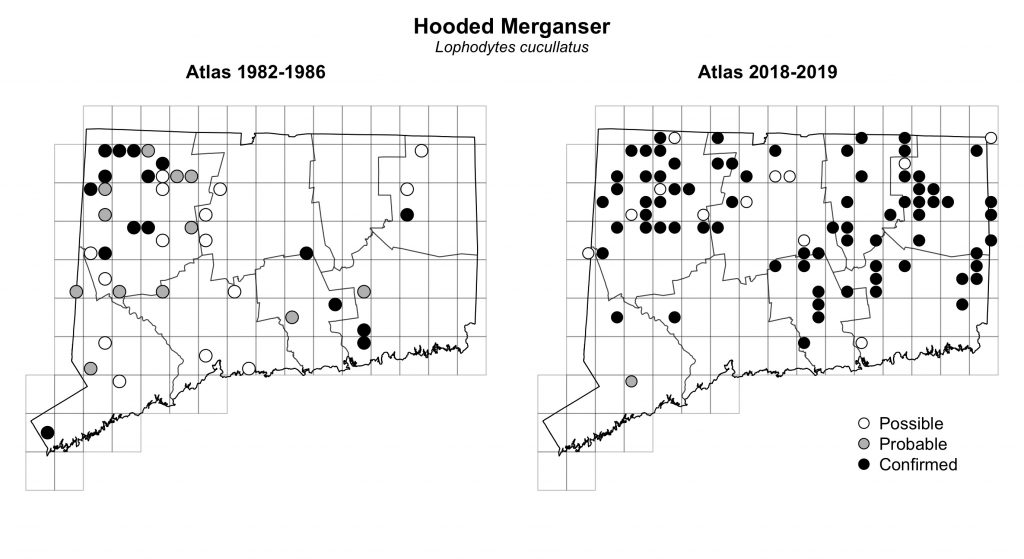 Maps of Connecticut showing a comparison of breeding data for Hooded Merganser from atlas surveys in 1982-1986 and 2018-2019