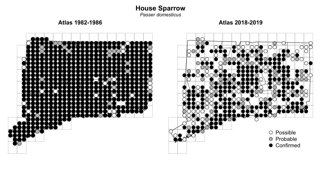 Maps of Connecticut showing a comparison of breeding data for House Sparrow from atlas surveys in 1982-1986 and 2018-2019