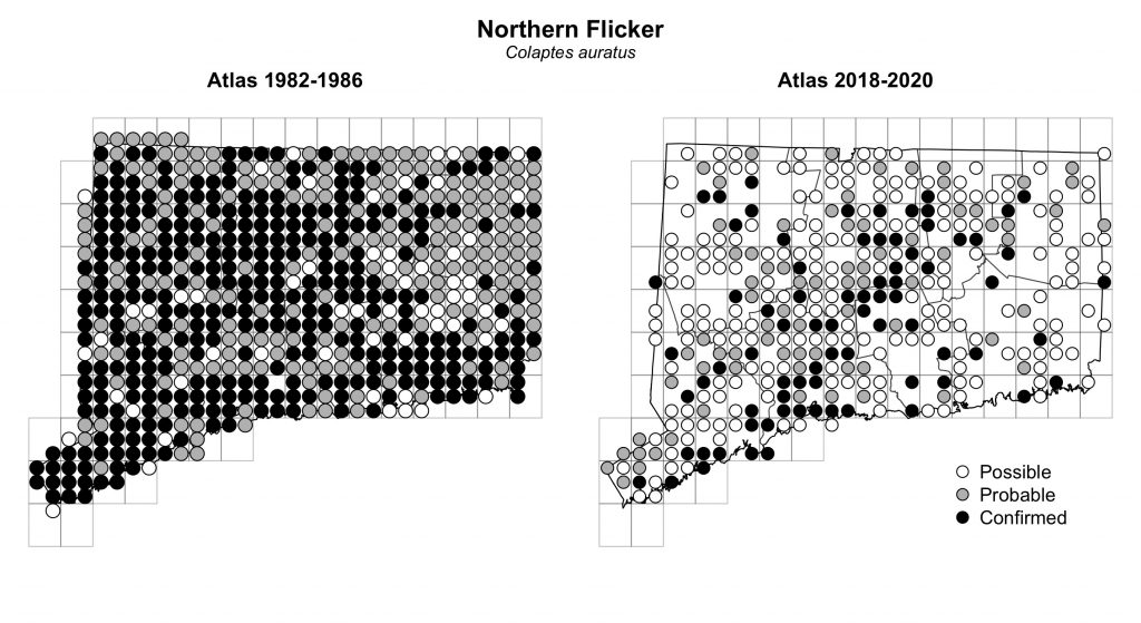 Maps of Connecticut showing a comparison of breeding data for Northern Flicker from atlas surveys in 1982-1986 and 2018-2020