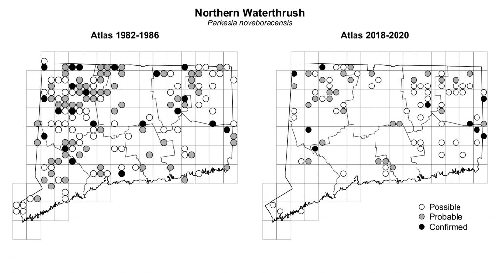 Maps of Connecticut showing a comparison of breeding data for Northern Waterthrush from atlas surveys in 1982-1986 and 2018-2020