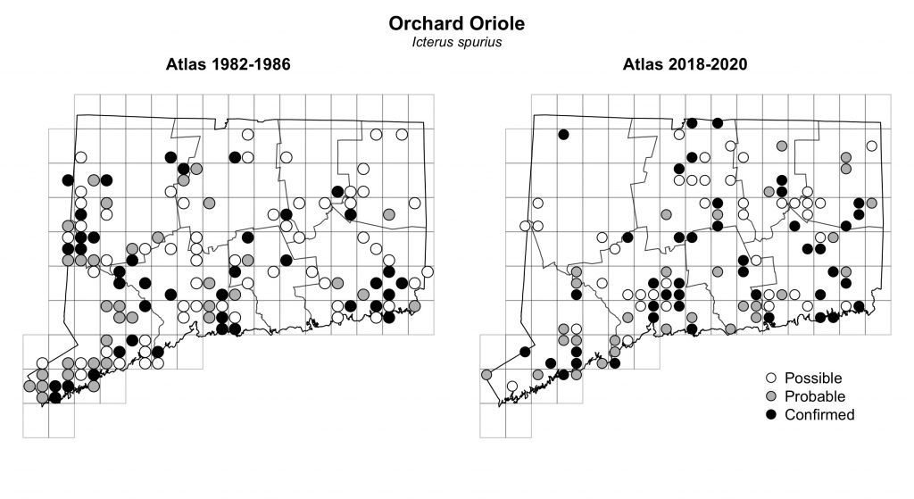 Maps of Connecticut showing a comparison of breeding data for Orchard Oriole from atlas surveys in 1982-1986 and 2018-2020