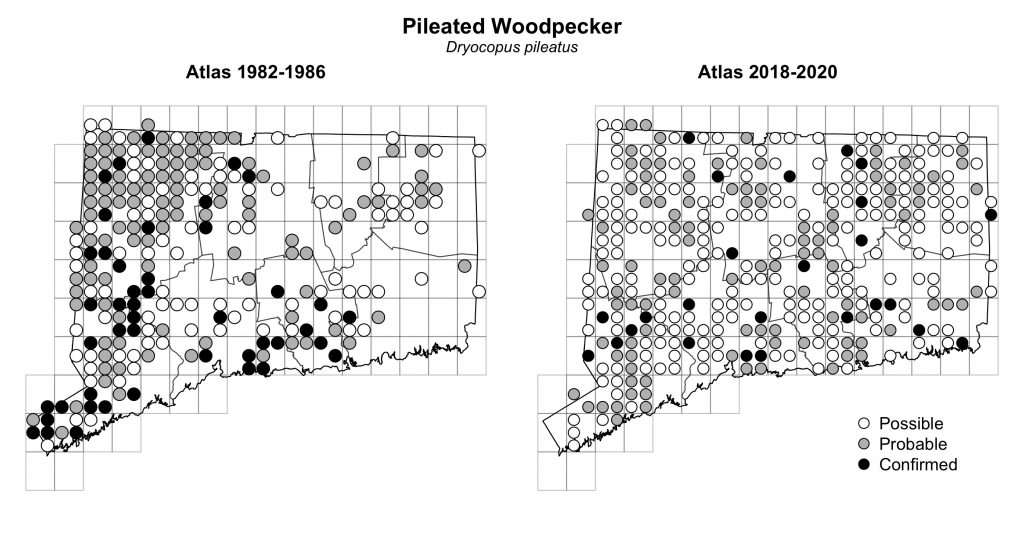 Maps of Connecticut showing a comparison of breeding data for Pileated Woodpecker from atlas surveys in 1982-1986 and 2018-2020