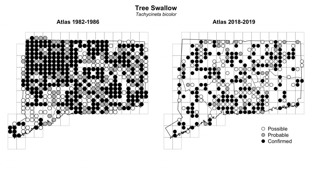 Maps of Connecticut showing a comparison of breeding data for Tree Swallow from atlas surveys in 1982-1986 and 2018-2019