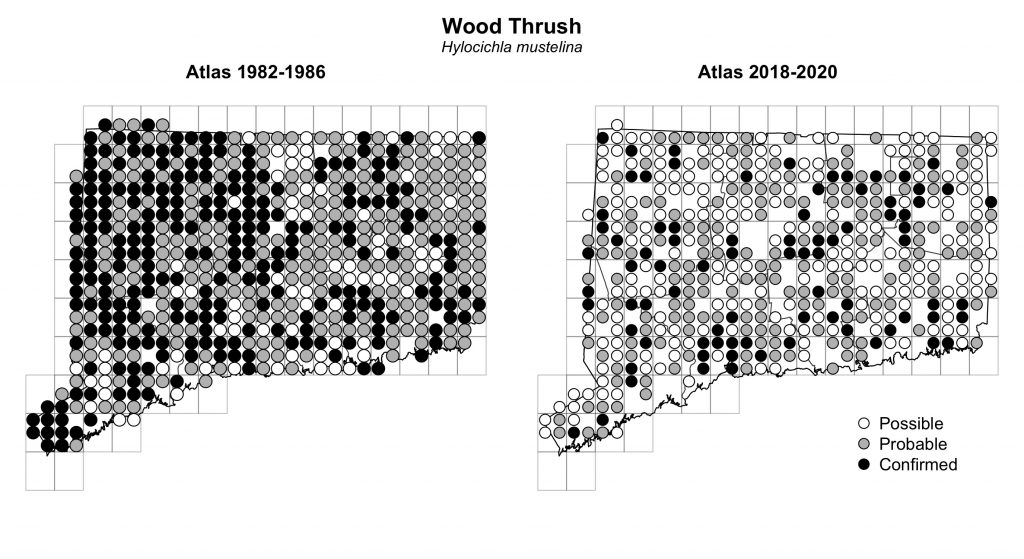 Maps of Connecticut showing a comparison of breeding data for Wood Thrush from atlas surveys in 1982-1986 and 2018-2020