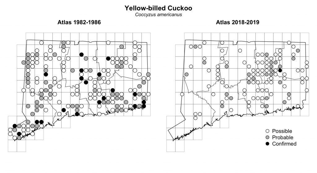 Maps of Connecticut showing a comparison of breeding data for Yellow-billed Cuckoo from atlas surveys in 1982-1986 and 2018-2019