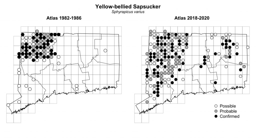 Maps of Connecticut showing a comparison of breeding data for Yellow-bellied Sapsucker from atlas surveys in 1982-1986 and 2018-2020