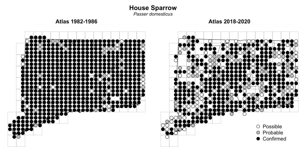 Maps of Connecticut showing a comparison of breeding data for House Sparrow from atlas surveys in 1982-1986 and 2018-2020