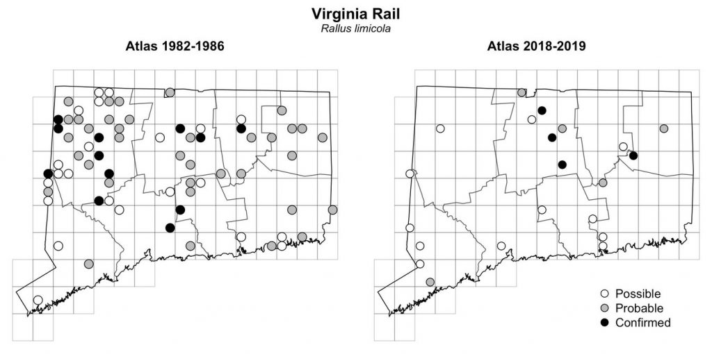 Maps of Connecticut showing a comparison of breeding data for Virginia Rail from atlas surveys in 1982-1986 and 2018-2019