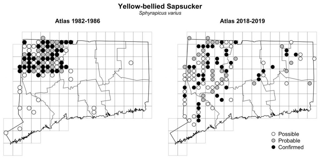 Maps of Connecticut showing a comparison of breeding data for Yellow-bellied Sapsucker from atlas surveys in 1982-1986 and 2018-2019