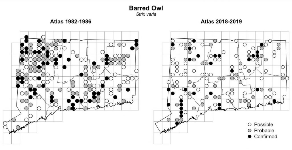 Maps of Connecticut showing a comparison of breeding data for Barred Owl from atlas surveys in 1982-1986 and 2018-2019