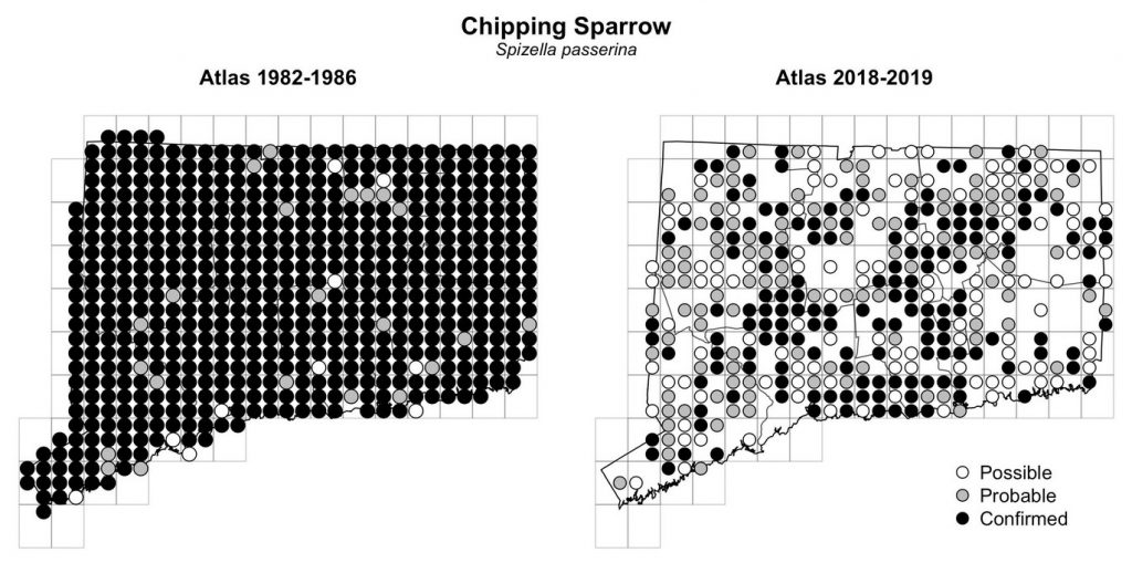 Maps of Connecticut showing a comparison of breeding data for Chipping Sparrow from atlas surveys in 1982-1986 and 2018-2019