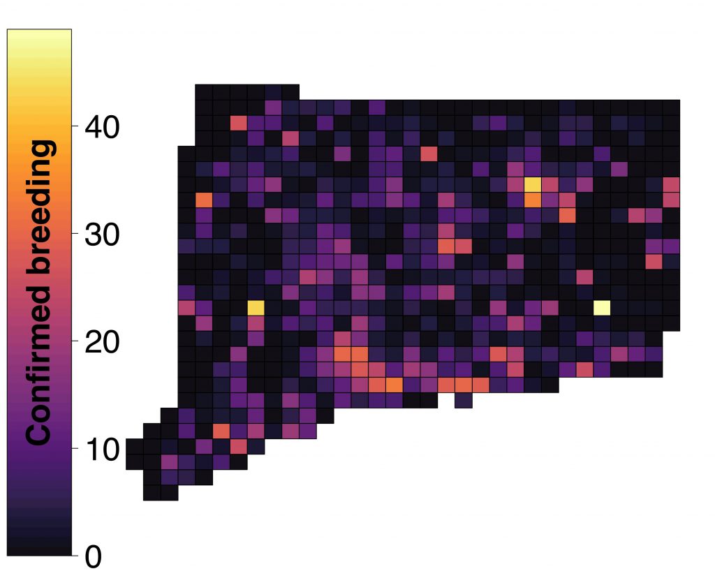 Map of Connecticut showing species confirmed breeding by atlas block as of July 2018