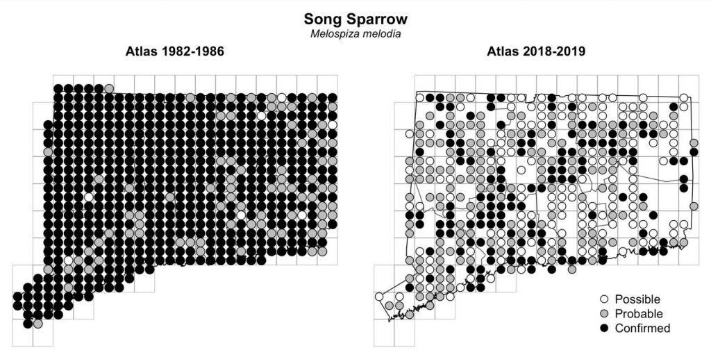 Maps of Connecticut showing a comparison of breeding data for Song Sparrow from atlas surveys in 1982-1986 and 2018-2019