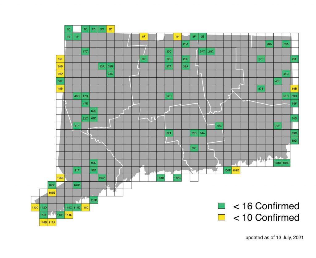 Map of Connecticut displaying target blocks for breeding surveys by the number of confirmed species as of July 13, 2021