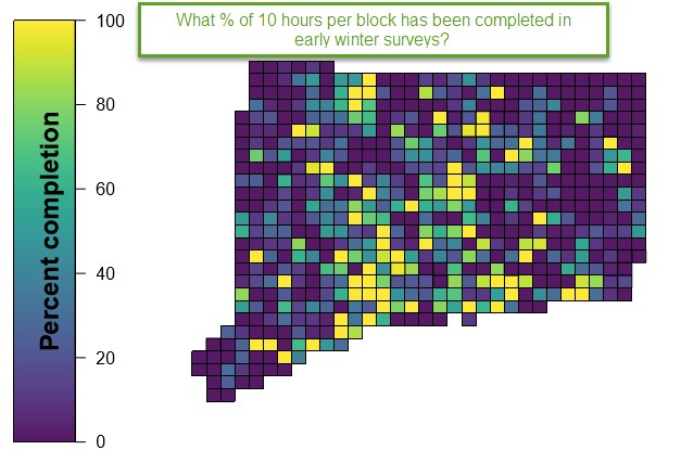 Map of Connecticut showing atlas blocks by percent completion for early winter surveys as of December 2019