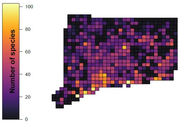 Map of Connecticut showing atlas blocks by number of species for early winter surveys as of March 2020