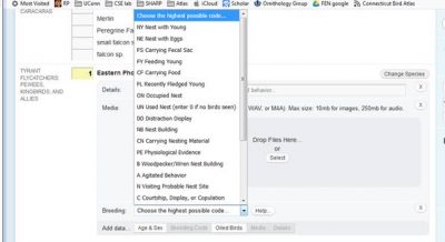 Screenshot displaying eBird's breeding codes menu on the desktop interface.