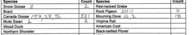 Example of a running tally in a winter survey data form.